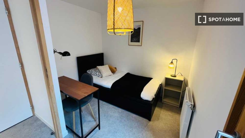 Double room Lyon, 6 beds, 110m² — photo 14