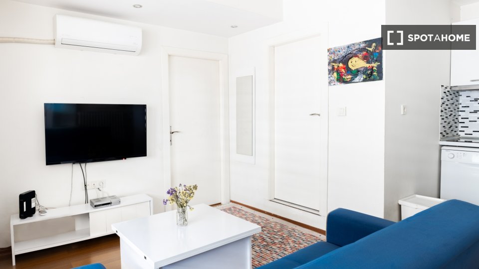 Apartment Istanbul, 1 bed — photo 5