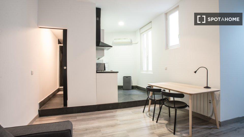 Apartment mono Madrid, 30m² — photo 13