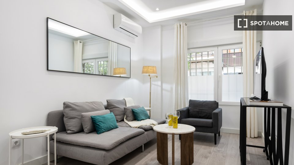 Apartment mono Madrid, 55m² — photo 13