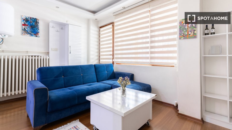 Apartment Istanbul, 1 bed — photo 14