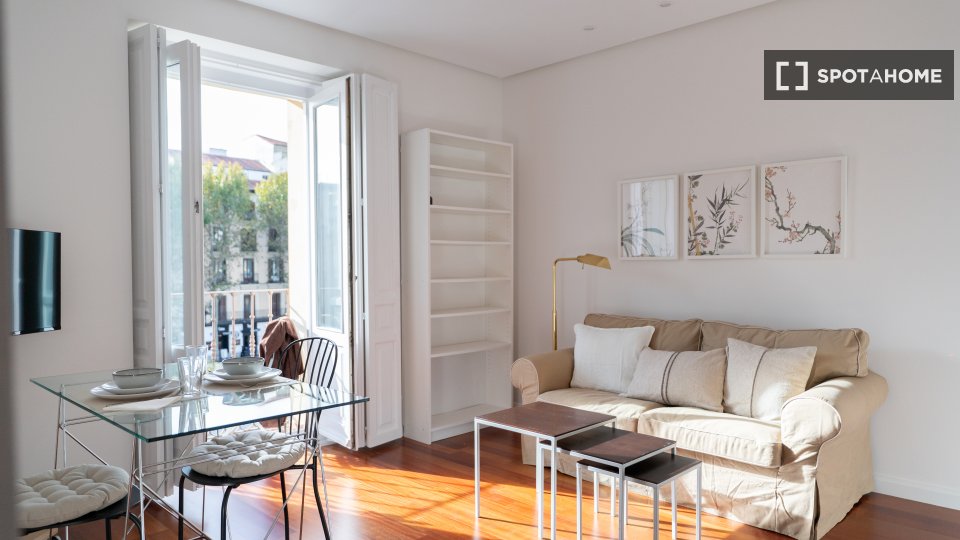 Apartment mono Madrid, 50m² — photo 17