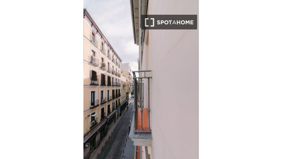Apartment Madrid, 1 bed — photo 6