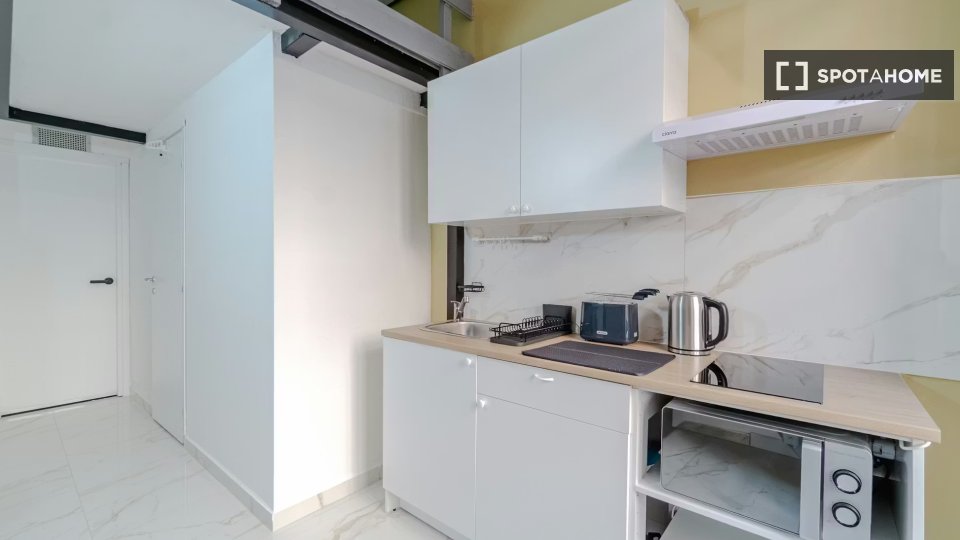 Apartment mono Turin — photo 5