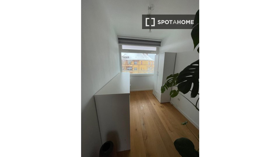 Apartment mono Berlin, 48m² — photo 3