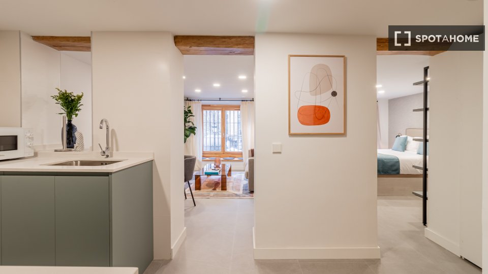 Apartment mono Madrid, 45m² — photo 3