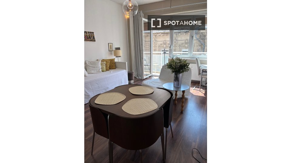 Apartment mono Budapest, 35m² — photo 26