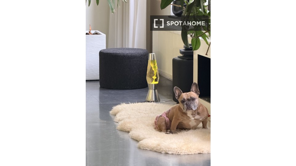Apartment Brussels, 3 beds, 170m² — photo 10