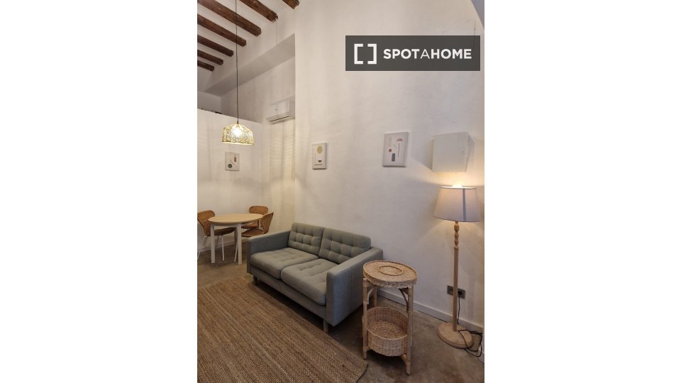 Apartment mono Barcelona, 50m² — photo 6