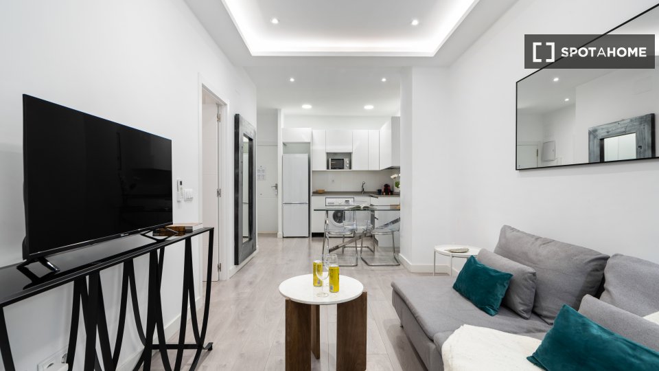 Apartment mono Madrid, 55m² — photo 16