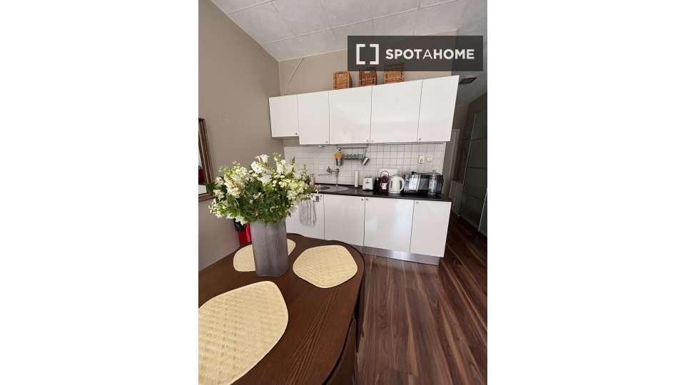 Apartment mono Budapest, 35m² — photo 24