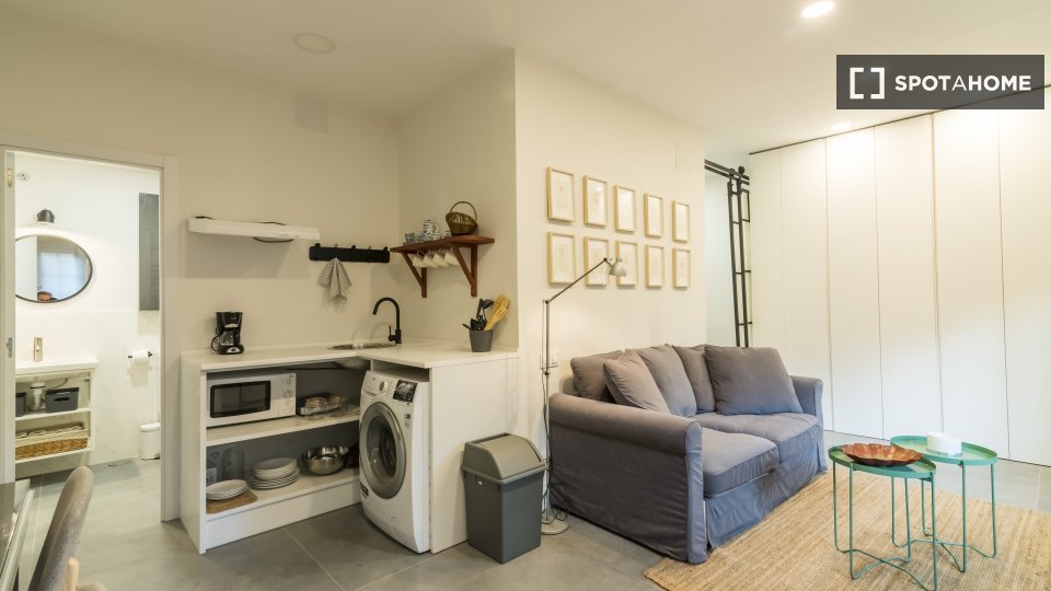 Apartment mono Madrid — photo 28