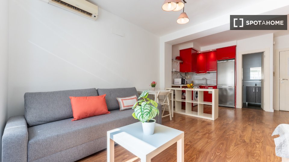 Apartment mono Malaga, 45m² — photo 13