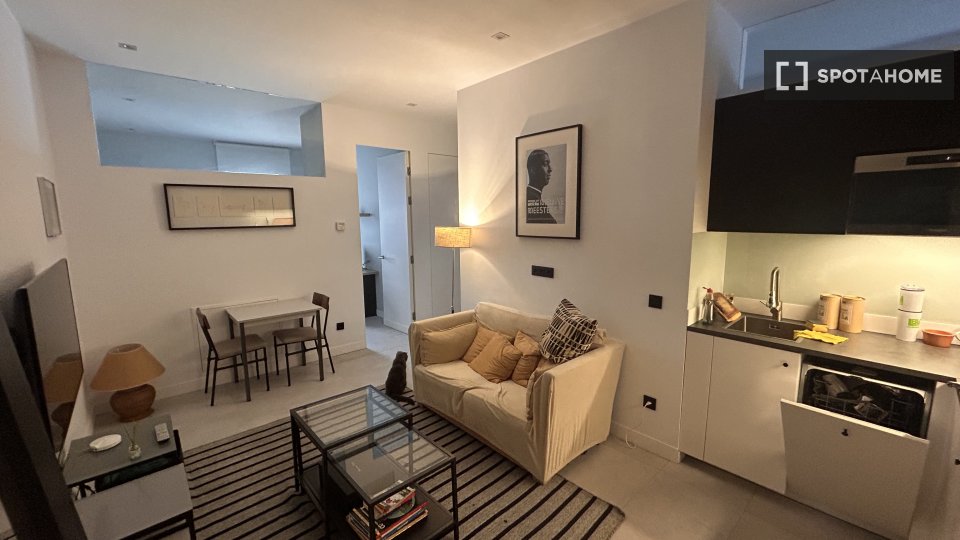 Double room Madrid, 1 bed, 180m² — photo 7