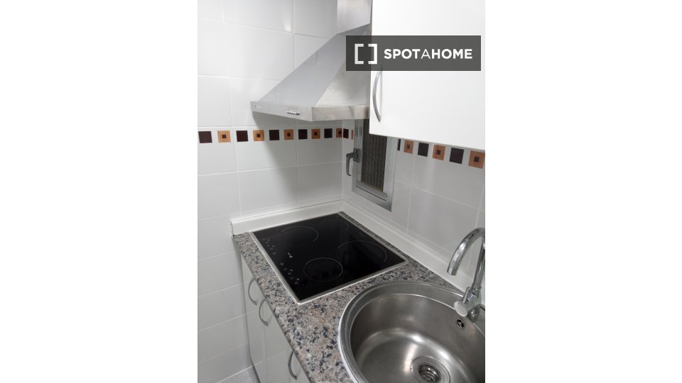 Double room Madrid, 3 beds, 50m² — photo 14