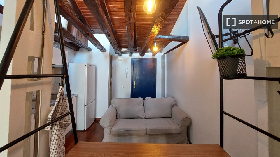 Apartment mono Madrid, 30m² — photo 19