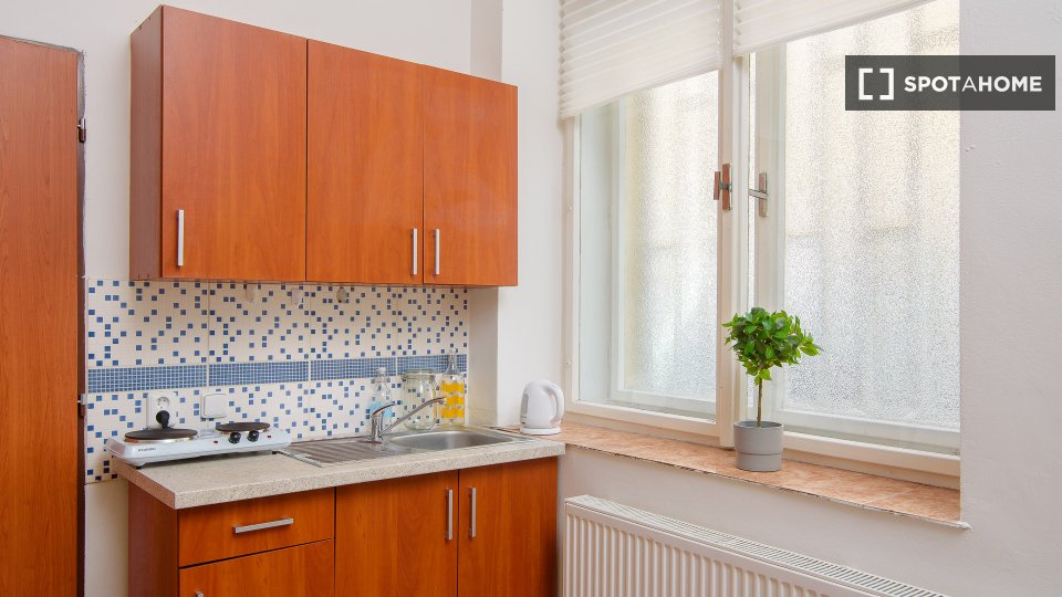 Apartment mono Prague, 35m² — photo 2