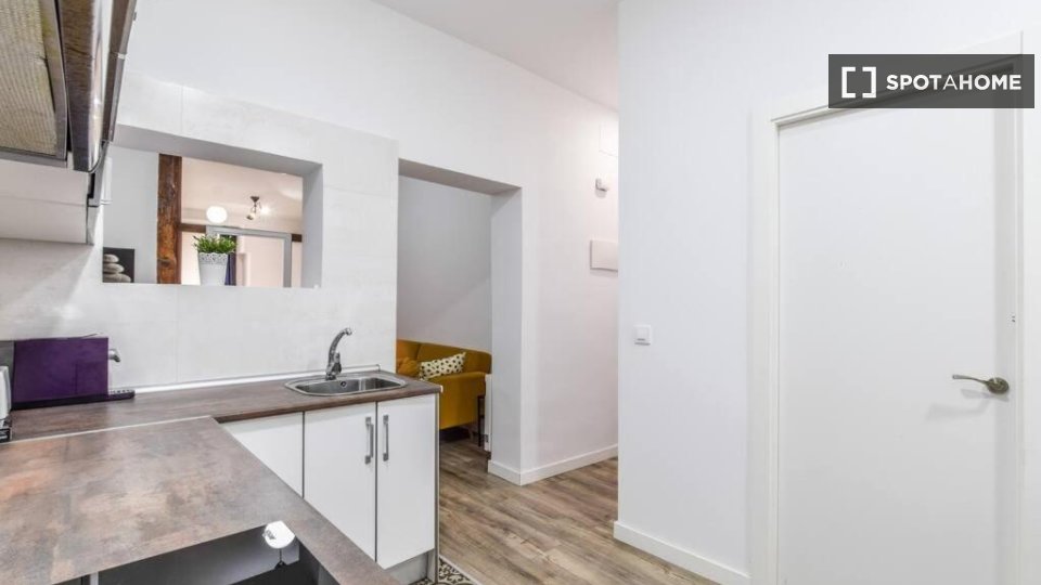 Apartment Madrid, 2 beds — photo 10