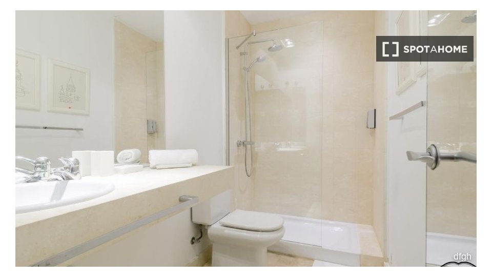 Apartment Madrid, 1 bed — photo 11