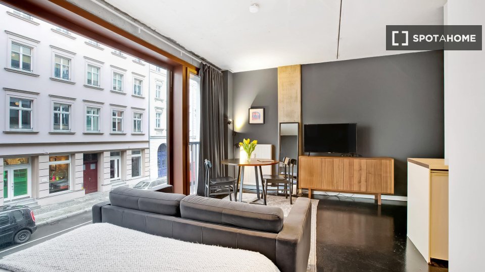 Apartment mono Berlin, 36m² — photo 8