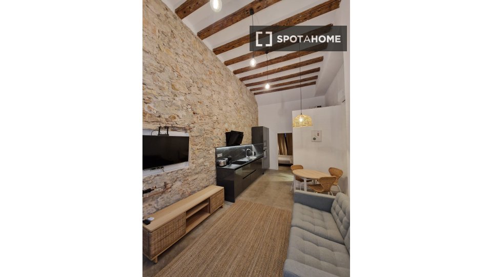 Apartment mono Barcelona, 50m² — photo 7