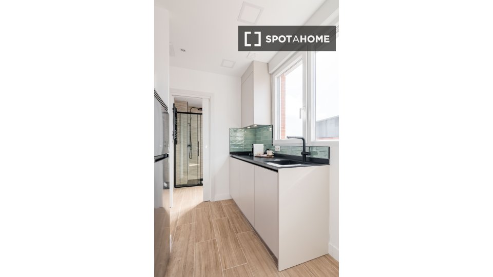 Apartment mono Madrid, 17m² — photo 9
