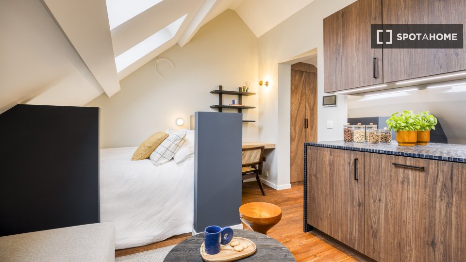 Apartment mono Brussels, 25m² — photo 9