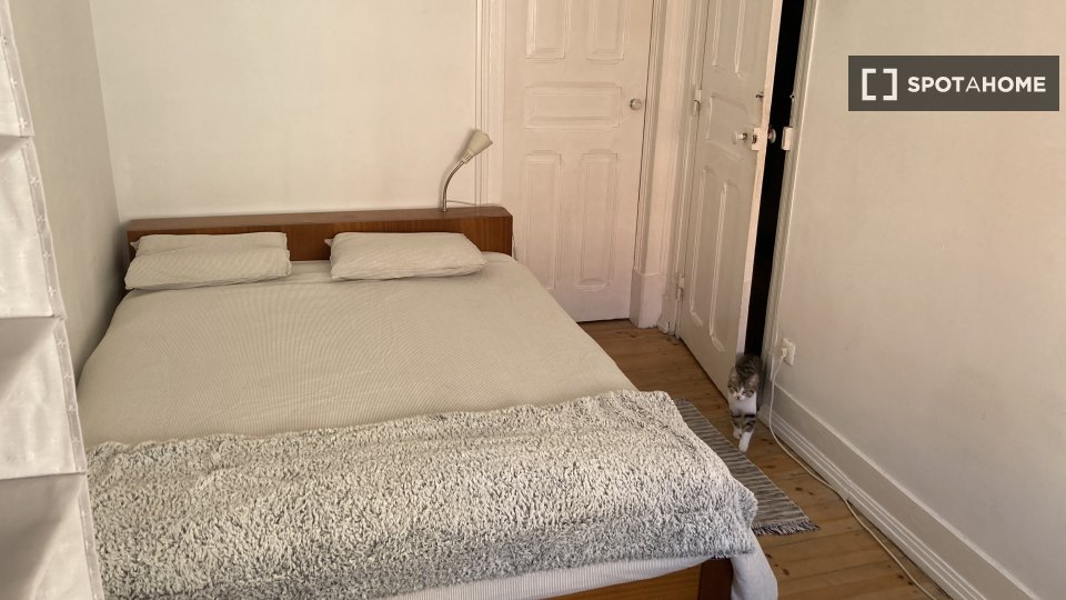 Double room Lisbon, 2 beds, 70m² — photo 11