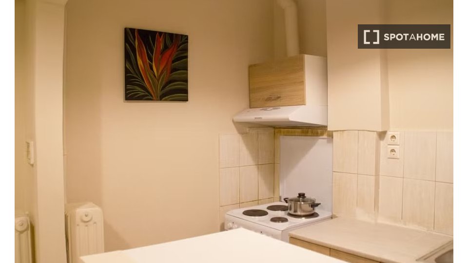 Double room Athens, 2 beds — photo 13