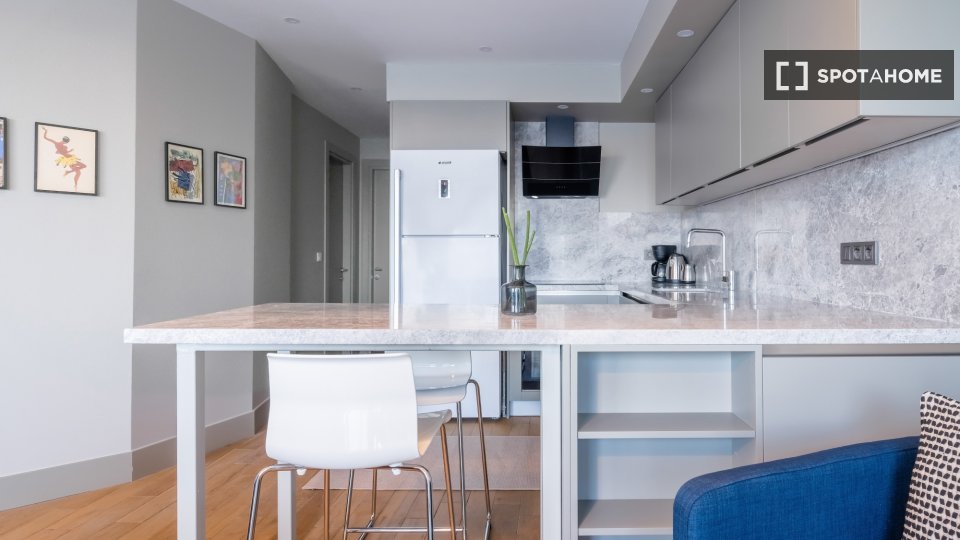 Apartment Istanbul, 1 bed — photo 3