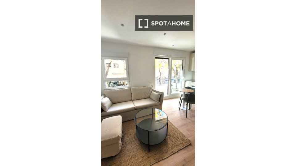 Apartment mono Madrid, 55m² — photo 9