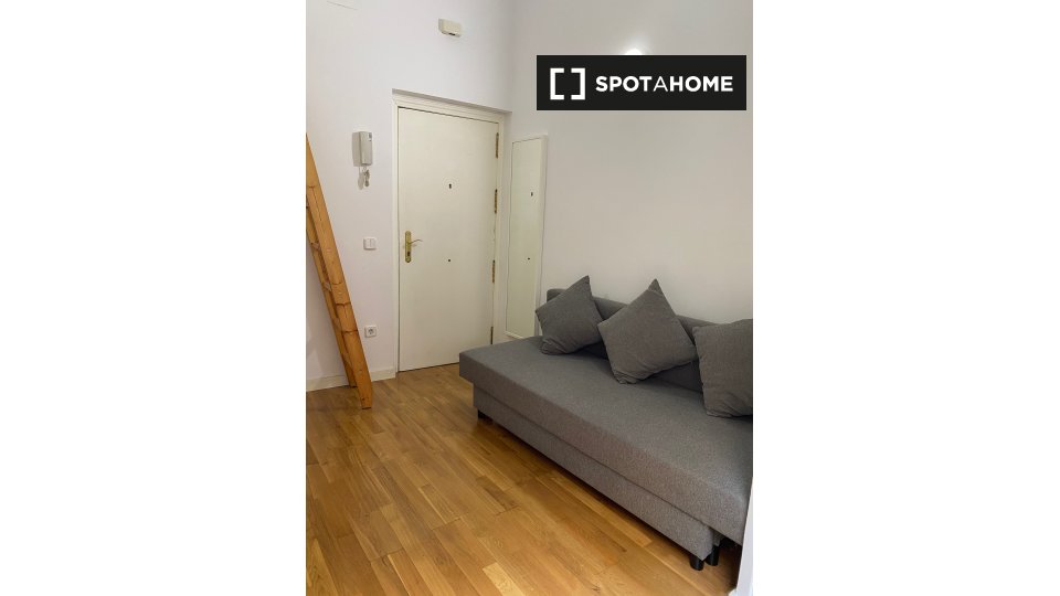 Apartment mono Madrid, 33m² — photo 3
