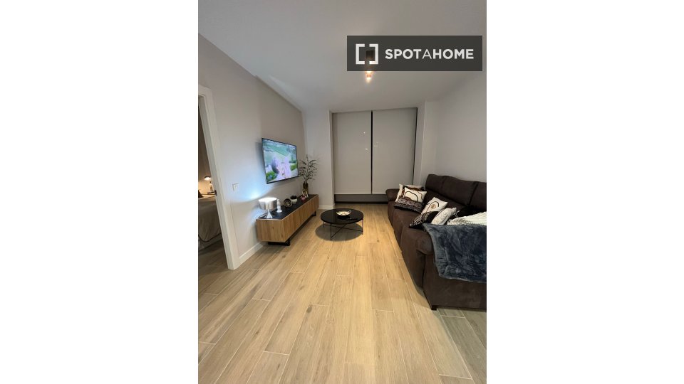 Apartment Madrid, 1 bed, 55m² — photo 8