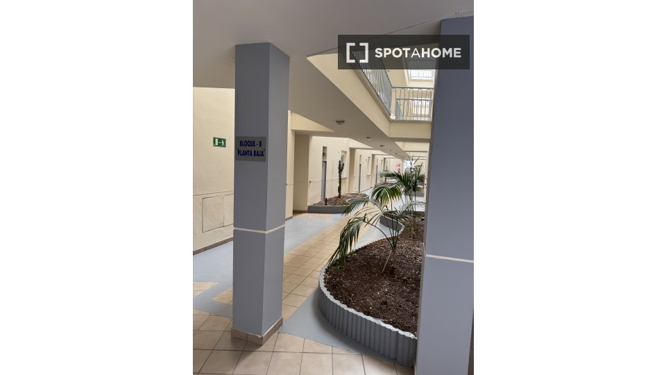Apartment Santa_Cruz_De_Tenerife, 1 bed, 80m² — photo 9
