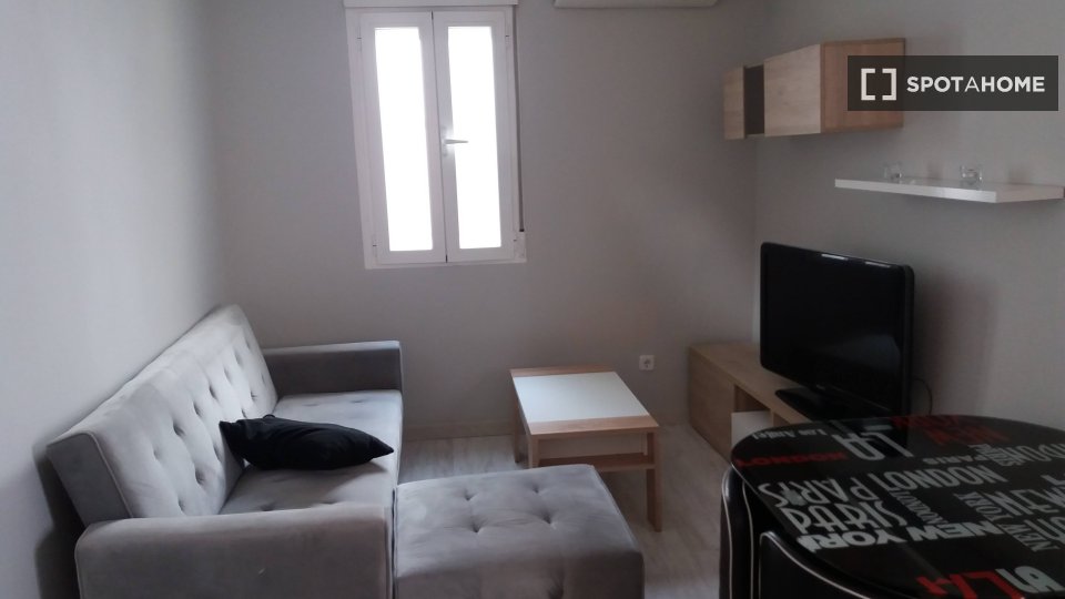 Apartment mono Madrid, 30m² — photo 13