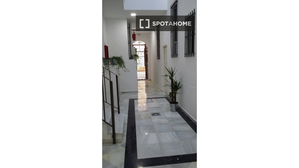 Estudio en alquiler en Feria, Sevilla