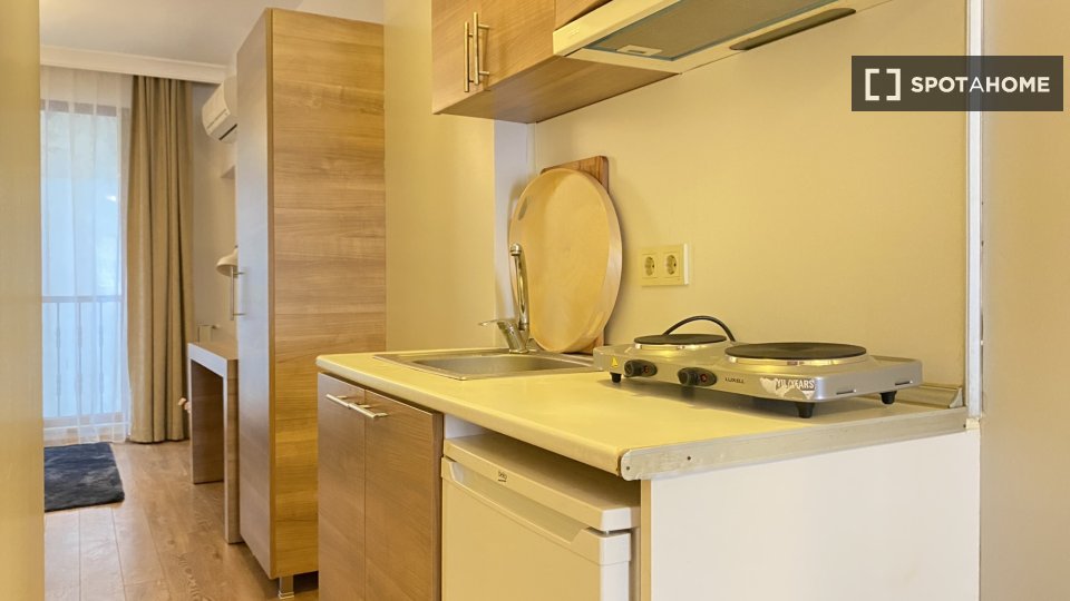 Apartment Istanbul, 1 bed — photo 2