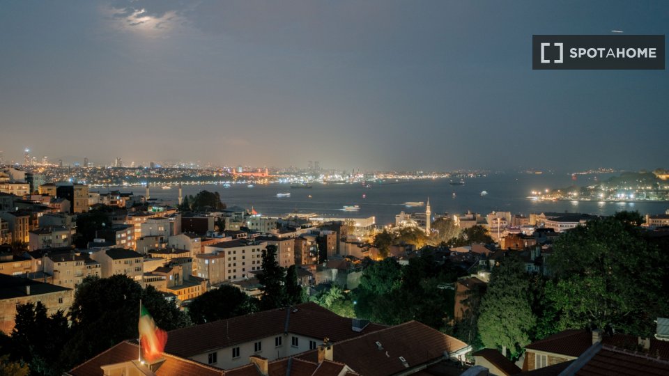 Apartment Istanbul, 1 bed — photo 4