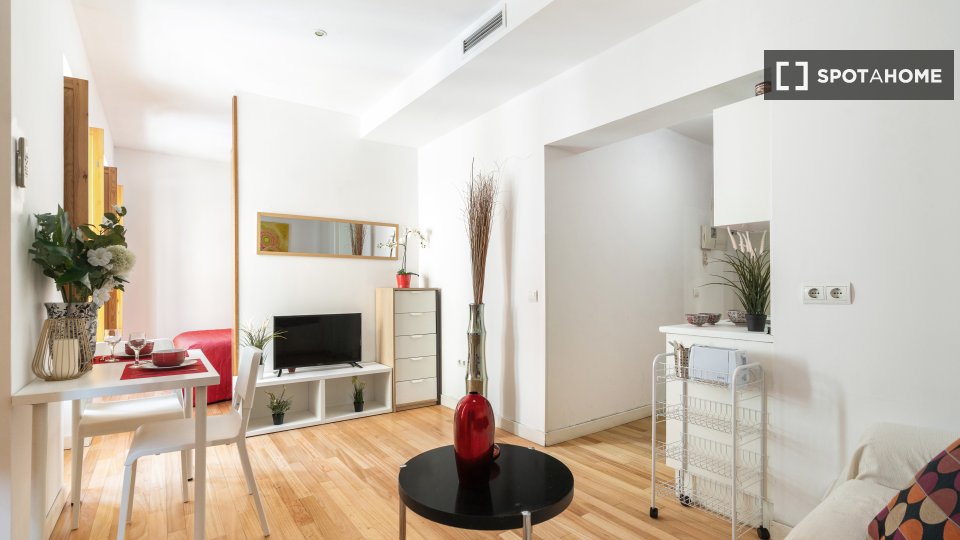 Apartment Madrid, 1 bed — photo 3