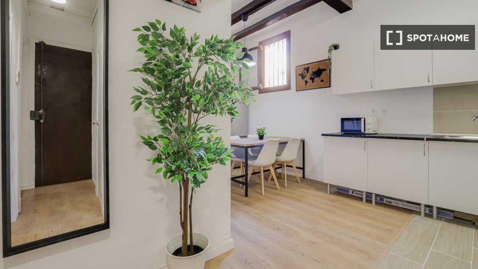 Double room Barcelona, 5 beds — photo 18