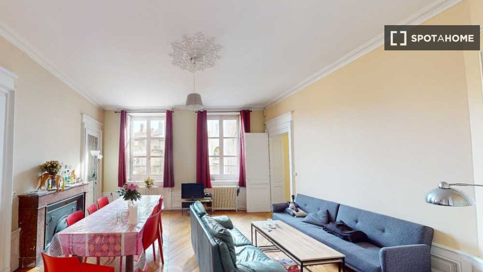 Double room Lyon, 7 beds, 240m² — photo 14