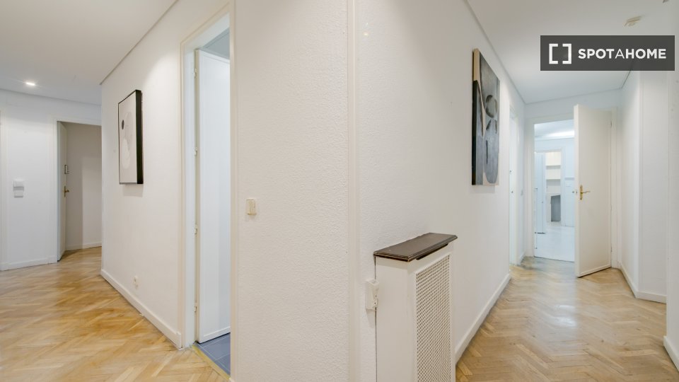 Double room Madrid, 11 beds, 250m² — photo 13
