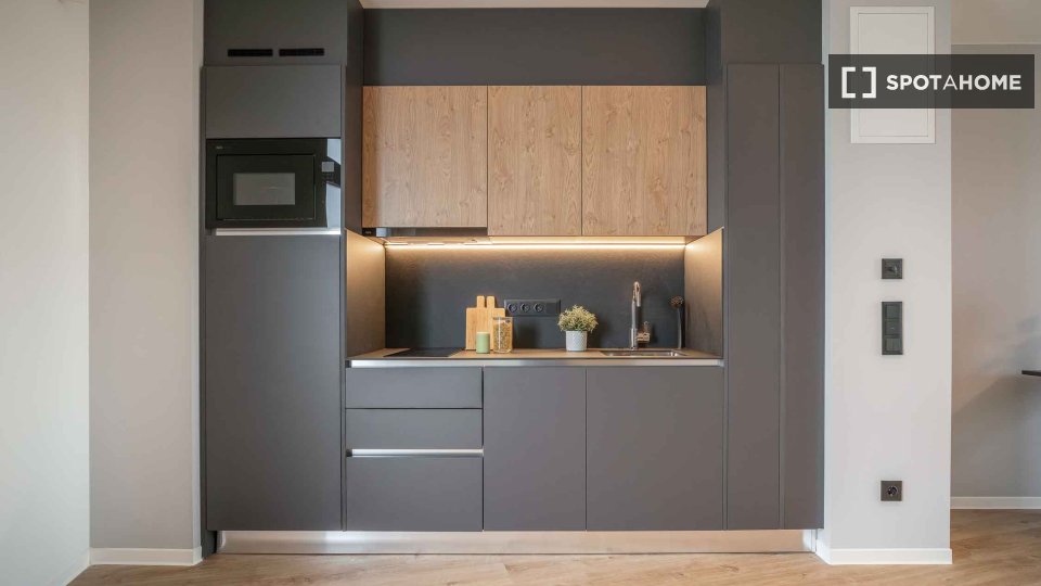 Apartment mono Berlin, 35m² — photo 4