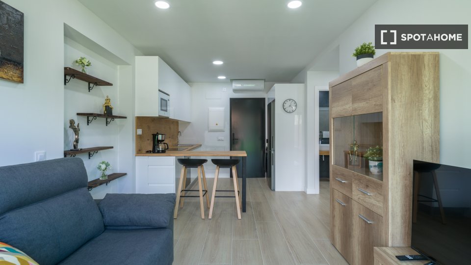 Apartment Santa_Cruz_De_Tenerife, 1 bed, 40m² — photo 15