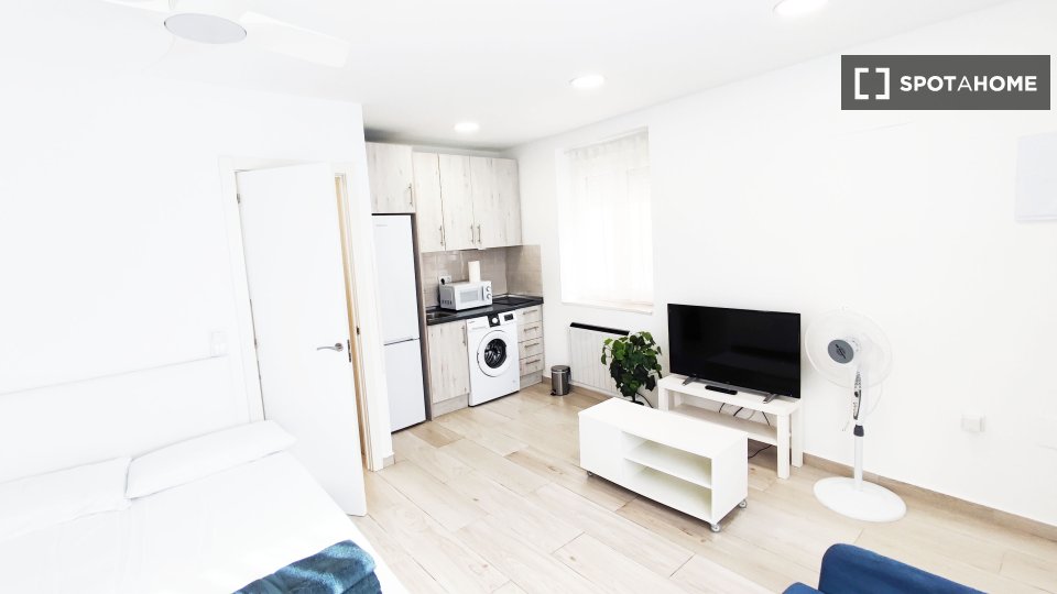 Apartment mono Madrid — photo 17