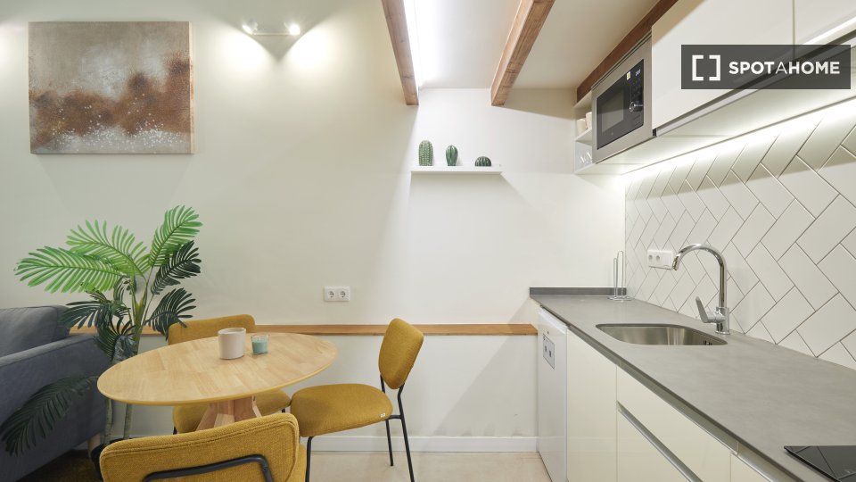 Apartment Barcelona, 1 bed — photo 14