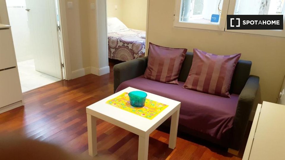 Apartment mono Madrid, 35m² — photo 3