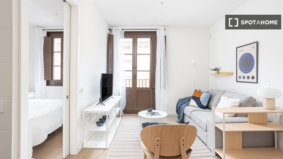Apartment mono Barcelona, 40m² — photo 14