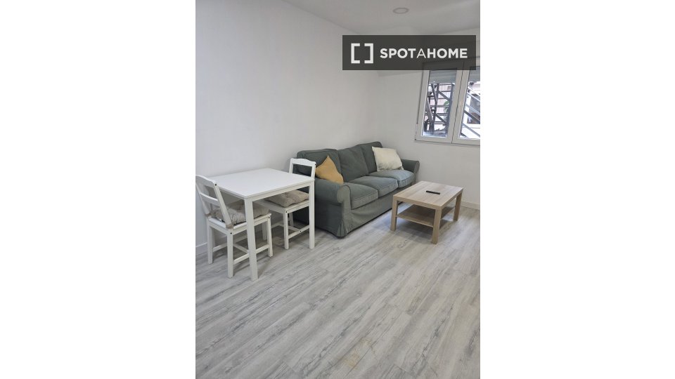 Apartment mono Madrid, 35m² — photo 7