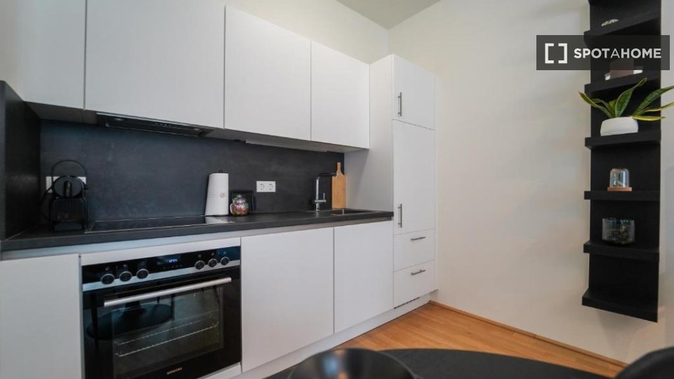 Apartment mono Vienna, 53m² — photo 1